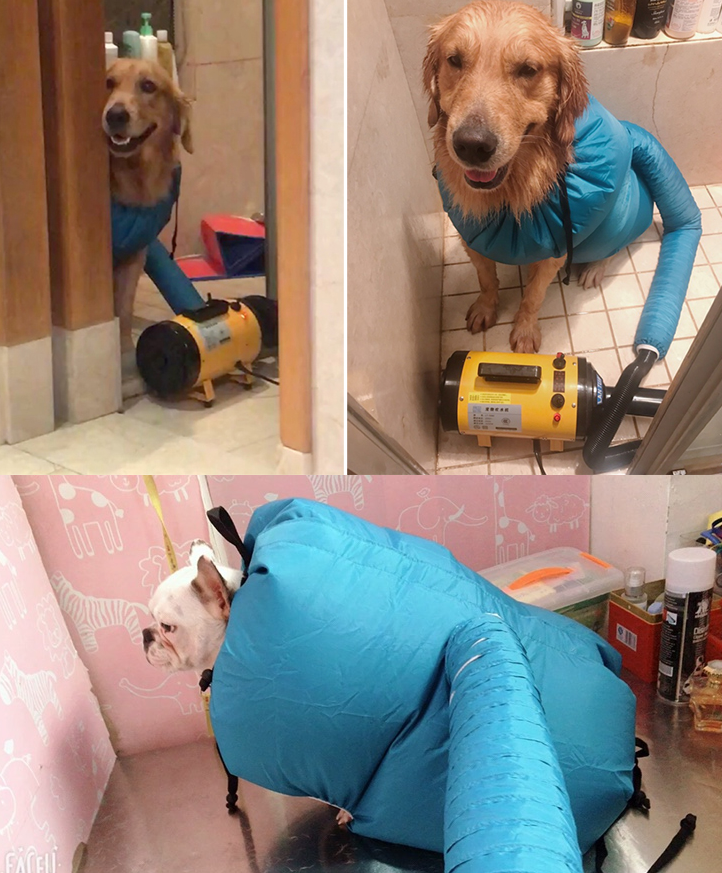 Easy-Dry Pet Chamber