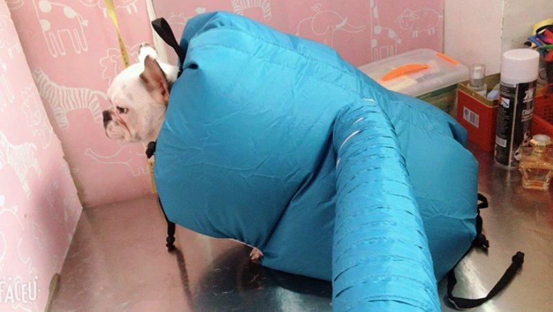Easy-Dry Pet Chamber